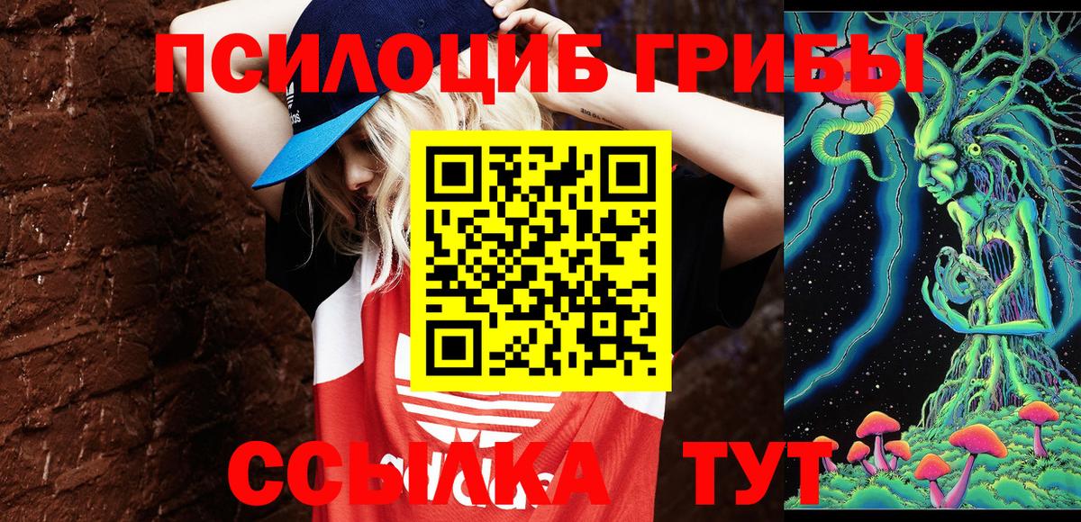 Псилоцибиновые грибы GOLDEN TEACHER  Вход с VPN  Набережные Челны 